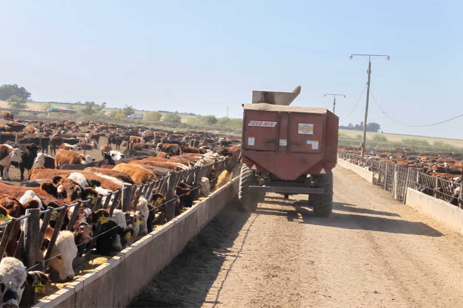 Transporte y Logística